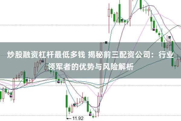 炒股融资杠杆最低多钱 揭秘前三配资公司：行业领军者的优势与风险解析
