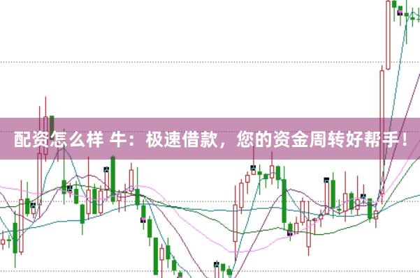 配资怎么样 牛：极速借款，您的资金周转好帮手！