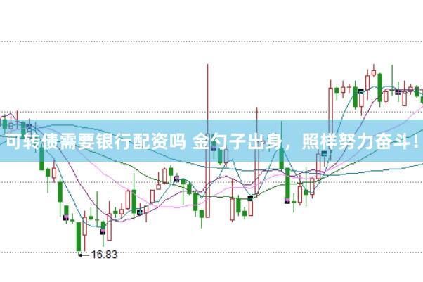 可转债需要银行配资吗 金勺子出身，照样努力奋斗！