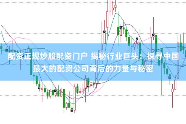 配资正规炒股配资门户 揭秘行业巨头：探寻中国最大的配资公司背后的力量与秘密