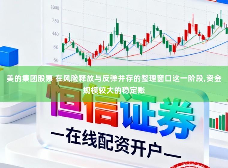 美的集团股票 在风险释放与反弹并存的整理窗口这一阶段,资金规模较大的稳定账