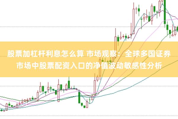 股票加杠杆利息怎么算 市场观察：全球多国证券市场中股票配资入口的净值波动敏感性分析